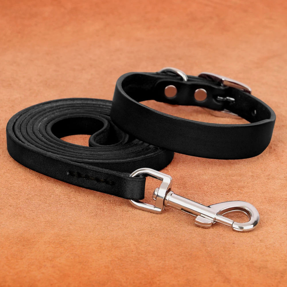 Hundehalsband