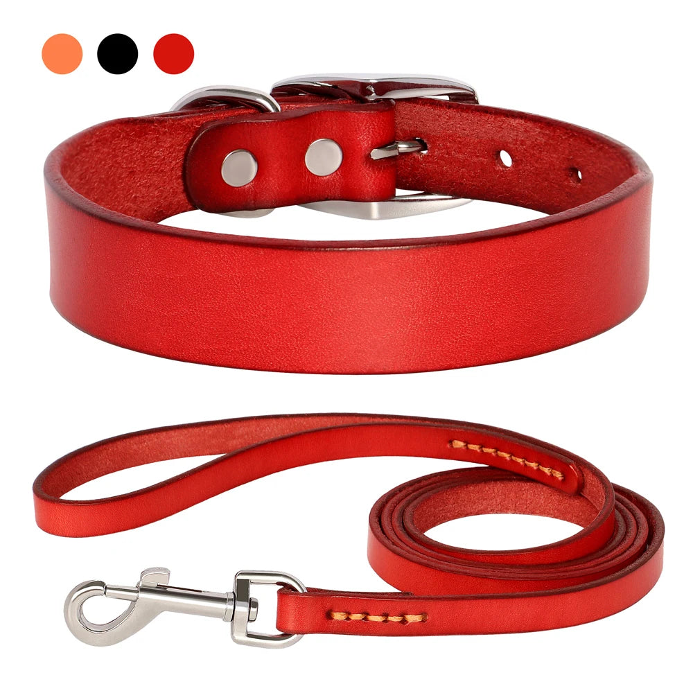 Hundehalsband