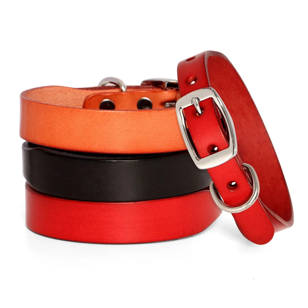 Hundehalsband