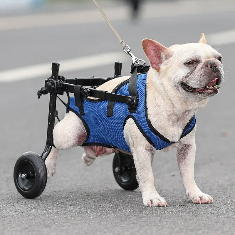 Rollwagen für Hunde und Katzen