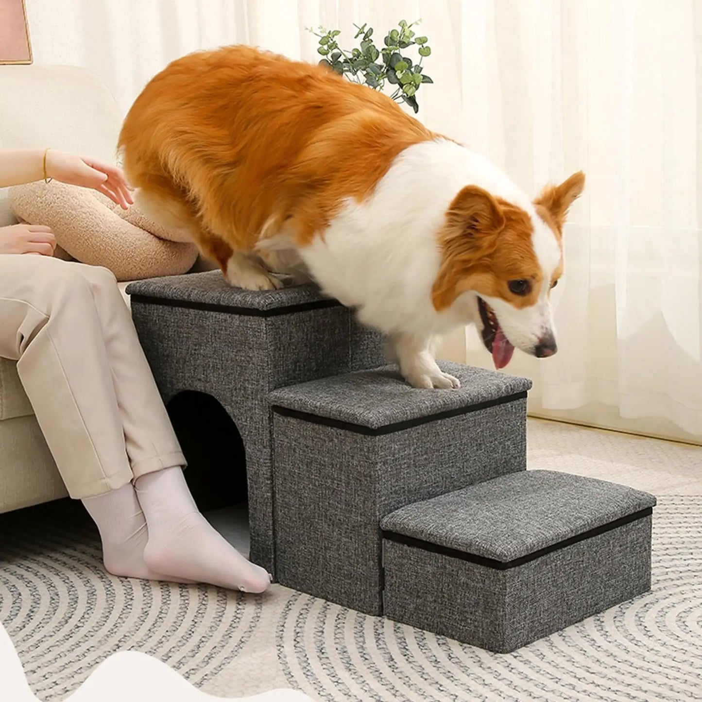 Haustiertreppe für Hunde und Katzen